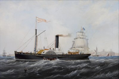 Schwarzer Prinz von John Scott